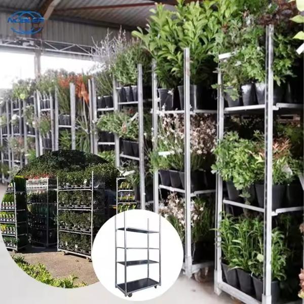 Pp Caster facile à assembler durable robuste imperméable à l'eau