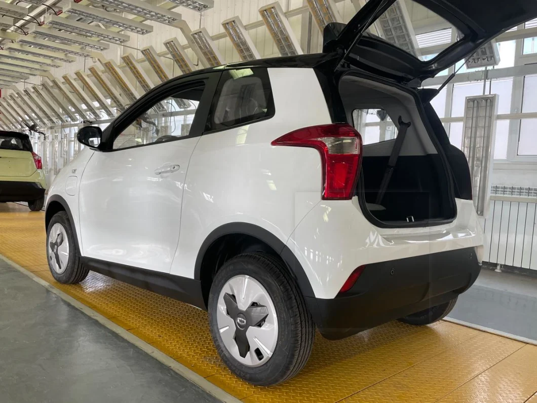 China Factory direct sales price electric mini car 3 doors 4 seats 25KW motor mini vehicle electric