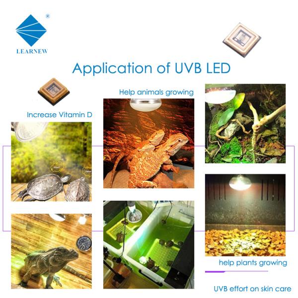 LED SMD en céramique UVB LED CHIP 290nm 300nm 310MN 315nm 3535 Puce LED pour le supplément de calcium pour animaux