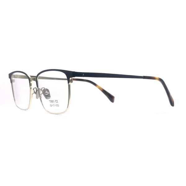 TD097 Square Eye Shape Choose Titanium Frame for Superior Performance