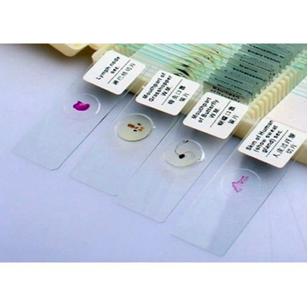 Fungi Botany Microscope Slides Set , Ready Made Microscope Slides