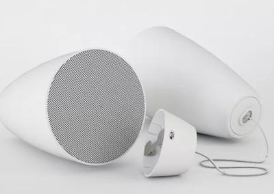 20W Adjustable Power 4-Inch 2-Way Hanging Speaker White Ceiling Speaker