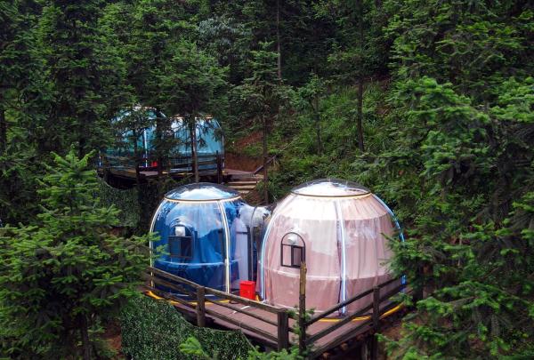 Full House Outdoor Prefabricated Luxury Glass Polycarbonate Garden Double Dome House