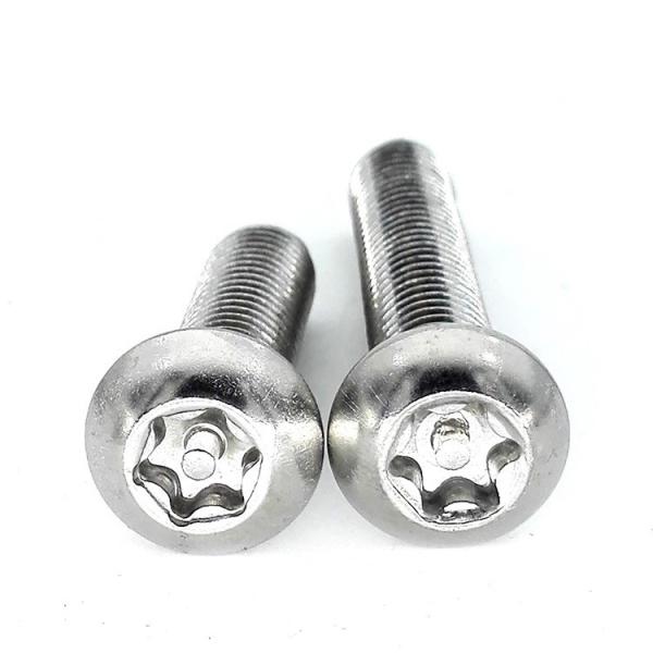 Stainless Steel Pin Tamper Torx Security Button Head Machine Screw