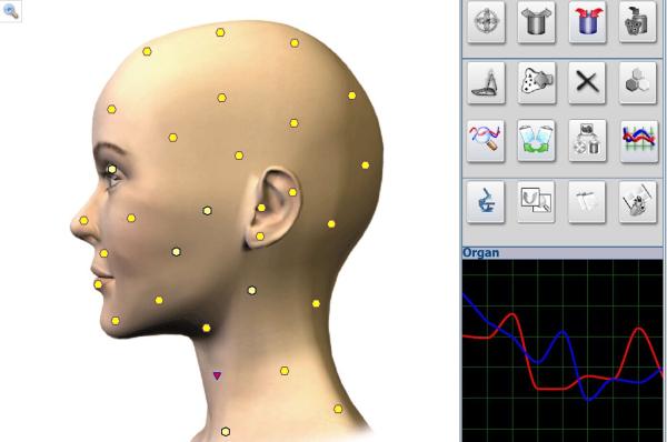 Health Care Products Metatron NLS Body Analyzer Herbal Treatment Equipment for Home / Hospital