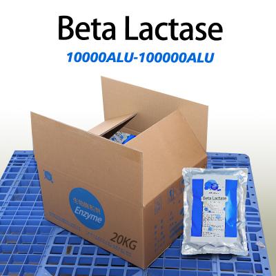 Poudre blanche comme l' enzyme bêta-lactase dans le lait 10000ALU-100000ALU