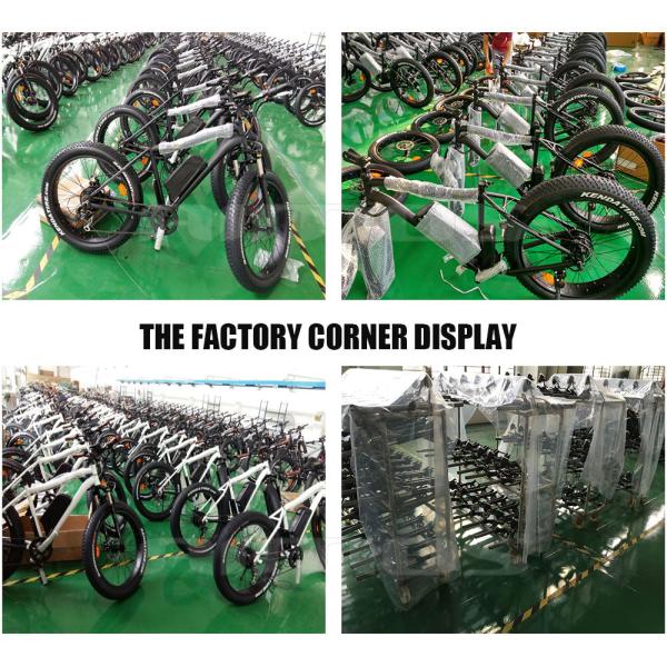 350w/36V Электровелосипед Эбике Горный велосипед Толстый велосипед Снежный велосипед Задний двигатель узла