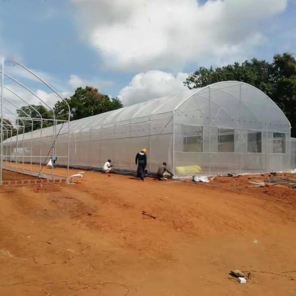 Estufa UV do filme de plástico do PE da largura industrial comercial agrícola de 12m anti para colheitas