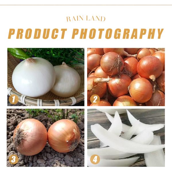 China Supplier 5-8 cm Size Round Export Fresh Vegetable Yellow White Onion for Sale