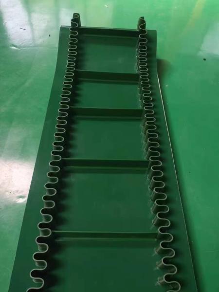 Produto comestível lustroso liso da gasolina da correia transportadora do Pvc