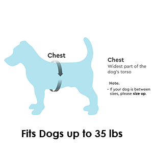 Comfort Patented Choke X Frame Nylon Dog Harness