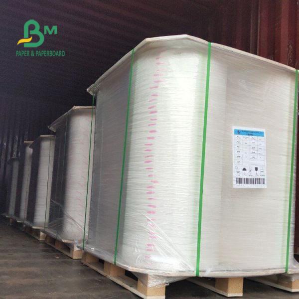 SGS / FDS Approved Food Grade Waterproof Multicolor 60g Straw Paper