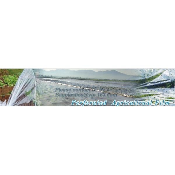 Agricultural Mulching Film Used for Fruit, Flower and Vegetable