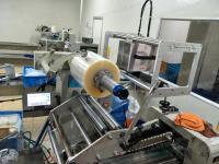 Machine de Continuous Date Printing d'imprimante de transfert thermique de D05S pour Flex Packaging