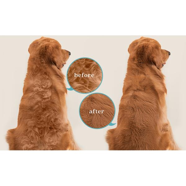 ABS TPR Scalp Washing Brush Detachable Bristles Wet Dry Hair Brush