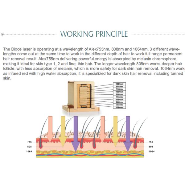 800w power three waves no pains permanent Diode laser hair removal machine in Spa