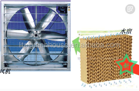 Ventilation Vents for 150/200micro PE Film Covered Greenhouse on Poultry Farm