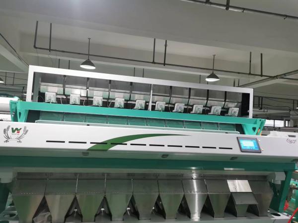 WENYAO 10T/h machine automatique de tri des couleurs salines avec garantie de 2 ans
