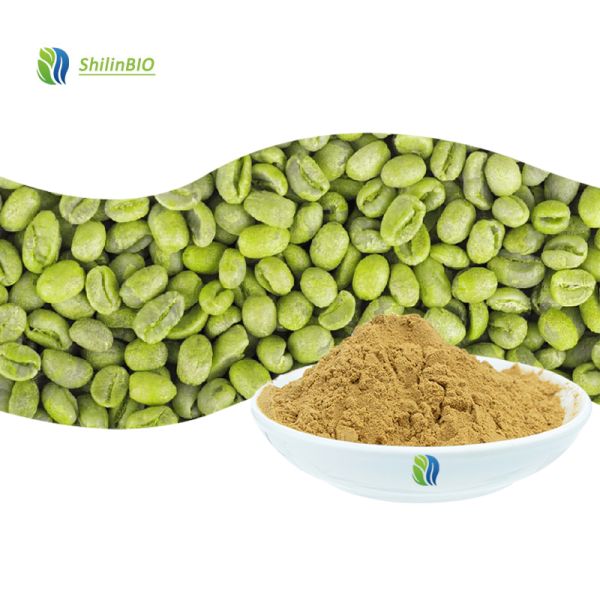 High Quality Green Coffee Bean Extract Powder 50% Chlorogenic Acid