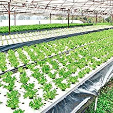 Plastic Tarp, Plastic Mulch, Weed Barrier, Concrete Moisture, Vapor Barrier, Construction Film, Lumber Tarp, Ground Cove