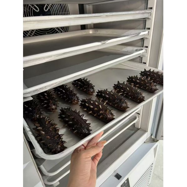 Gelato Seafood Blast Freezer Short Blast Deep Freezer Machine 10 Layers