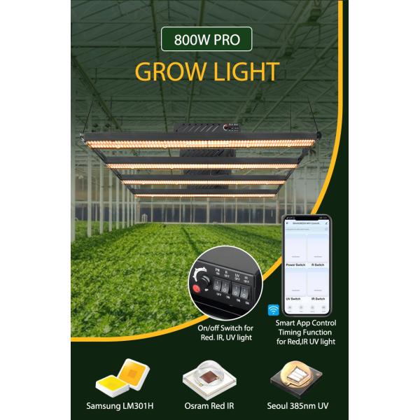 спектр 5*5ft 800W 22KG Dimmable полный привел доску SAMSUNG LM301H