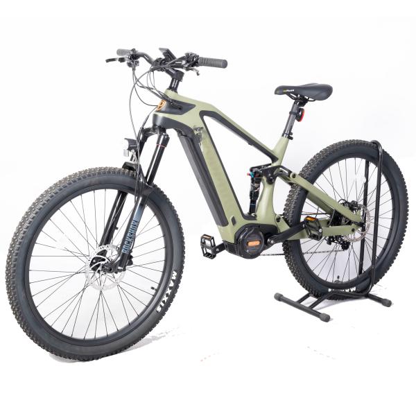 OEM Carbon Fiber MTB 29inch Electric Mountain Bike with 1000W Power and DPC-18 Display