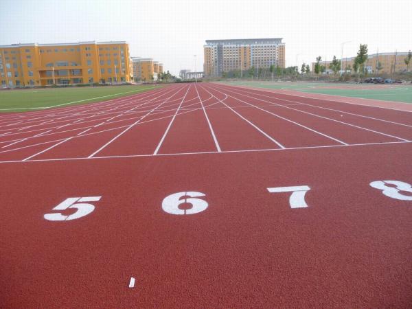 Athletic Runway EPDM Rubber Granule 2mm - 4mm Coloured Rubber Crumb