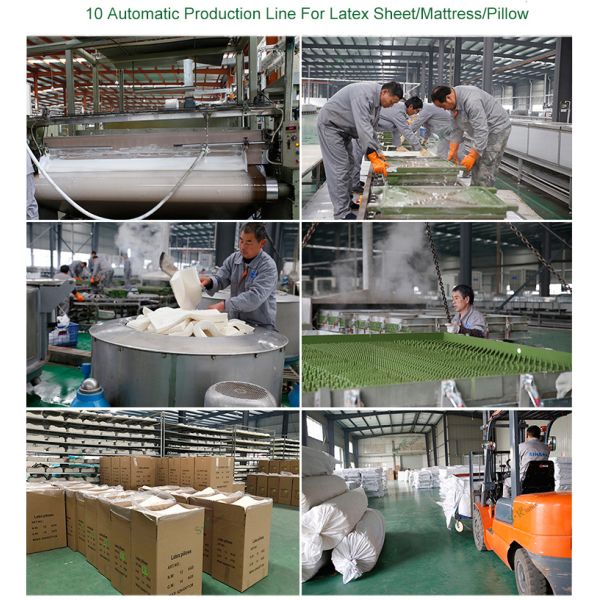 Customizable Cavity Shape Latex Pillow Mold with High Precision and Excellent Durability for Bedding Industry