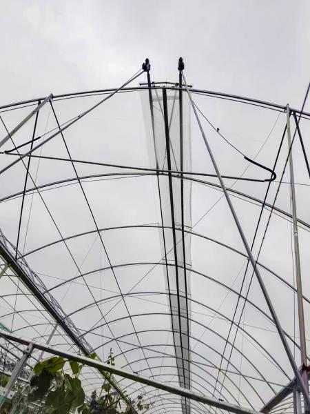 Transparent Plastic Film Greenhouse UV Resistant Anti Aging Anti Fog Anti Dust Customizable Sizes