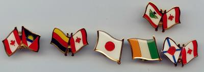 flag pin, football pin, pin badge, printing badge,Brass/Copper /Zinc alloy/Iron/pewter