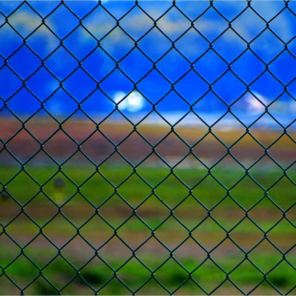 O metal 6 do elo de corrente pés de Pvc de Mesh Fencing Hot Dip Galvanized revestiu