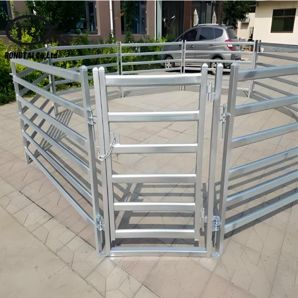 Portable Galvanized Steel Cattle Fence Panel 1.8x2.1m for Livestock and Farm Animals