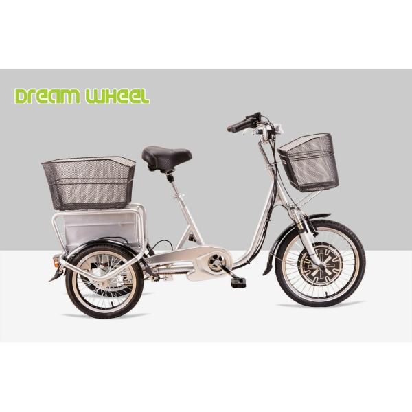 25km/H Pedal Assist Electric Trike 48V 350W Brushless Motor