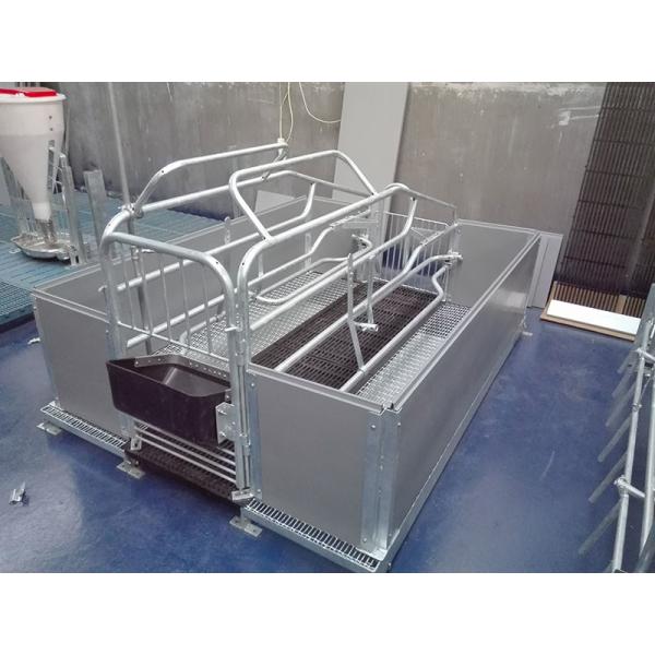 Steel Farrowing crate with galvanized steel materials customized size