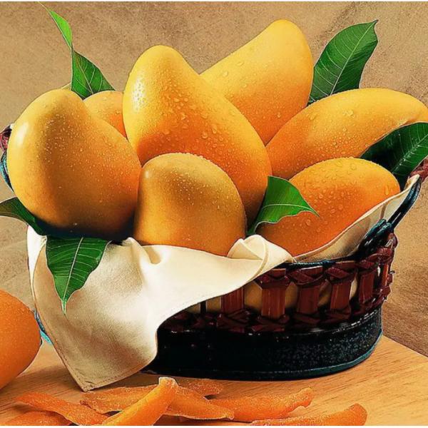 Easy Operate Electric Mango Juice Production Line 2.2KW - 4KW