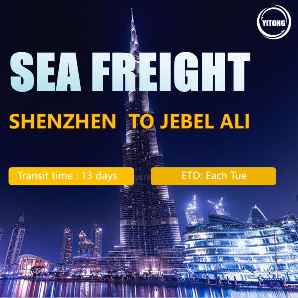 Sea Freight From Shenzhen To Dubai International Logistcs DDU/DDP Services