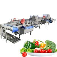 Máquina de lavar cebolas em pedaços 2000 kg/h