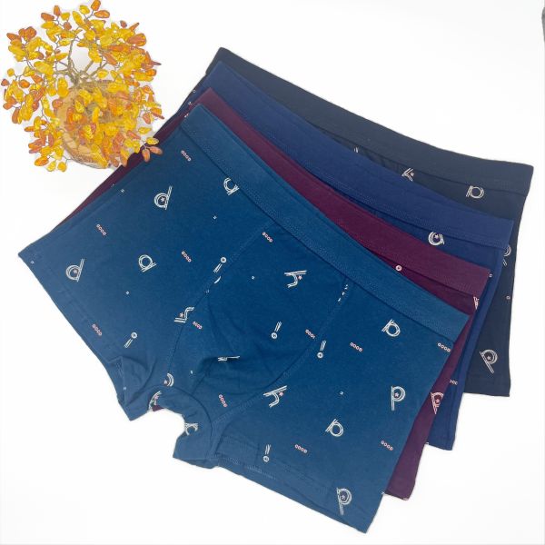 Mens Letter Printed Boxer Shorts Plus Size Men's Boxer Brief