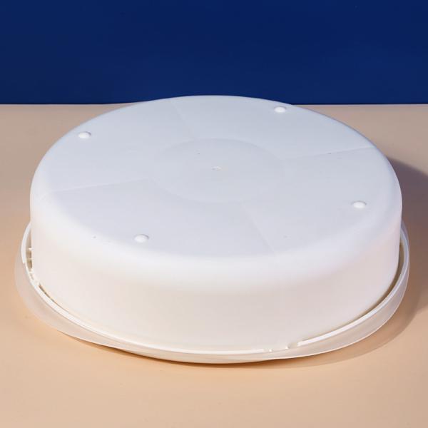 Large Capacity Sub Grid 32x8.3cm Plastic Organizer Box