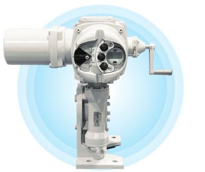 YOKOGAWA chongqing Chuanyi M-series partial rotation motor operated valve M8310 A8005 A8010 A8020 M8410 A8005 A8010 A8020 M8510 A8005 A8010 A8020 M8610 A8005 A8010 A8020 M8320 A8020 M8620 M8420 A8520