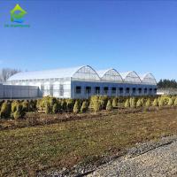 Calha da estufa do período do escurecimento da tampa de vidro a multi conecta a estufa da planta de morango