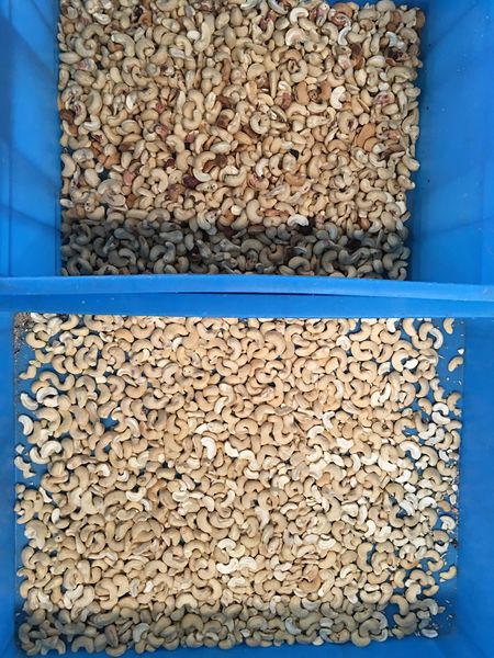 1.2T/H Automatic Cashew Nut Color Sorter Three Line Scanning