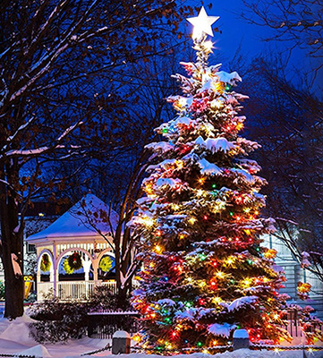 света рождества К7 цвета 25фт Мулти Ип44 для свадьбы партии праздника