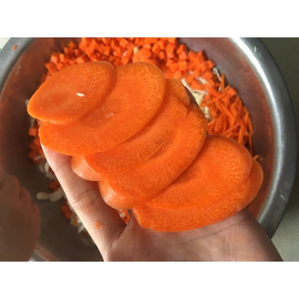 Professional Vegetable Cutting Machine Approx 2.5HP 500~2000kg/H