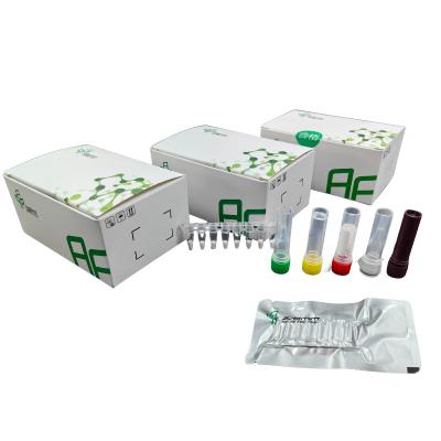Kit de detecção de patógenos isotérmicos para diagnóstico rápido e preciso de micoplasma pneumoniae
