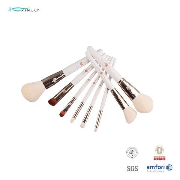 порошок учреждения наборов щетки SGS синтетических волос 10pcs косметический