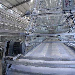 Do sistema automático da remoção do estrume do fio Q235 de aço material