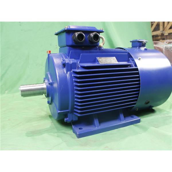 YVFE3 315M-2 132kW 380V IP55 LV Variable Frequency Motor 2975RPM