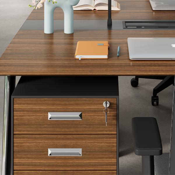 Armoire à dossiers, armoire de bureau avec serrure, armoire de rangement, armoire de bureau, armoire basse mobile de style tiroir